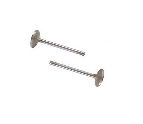 Einlassventile & Auslassventile Dieselmotoren