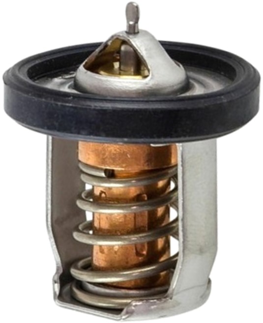 Thermostate