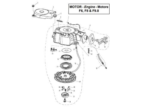 Starter Assembly
