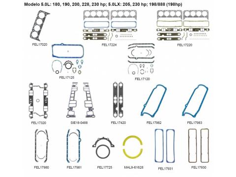 5,0 l: 180, 190, 200, 228, 230 PS; 5,0LX: 205, 230 PS; 198/888 (198 PS)