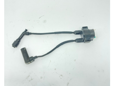 USED 100% good Honda COIL ASSY IGNITION F8 F9.9 F10 04303-ZW9-000