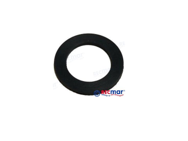 Johnson / Evinrude Thermostat Gasket (0329319)