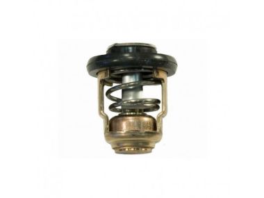 Yamaha Thermostat (AM6FM-12411-00)