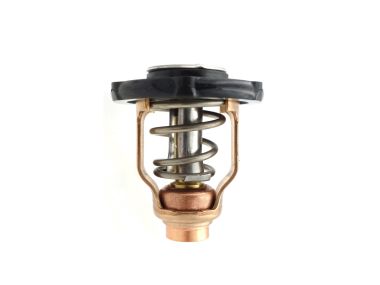 Yamaha Thermostat (6AW-12411-00)