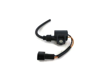 Yamaha Ignition Coil Assembly (67C-85570-00-00)