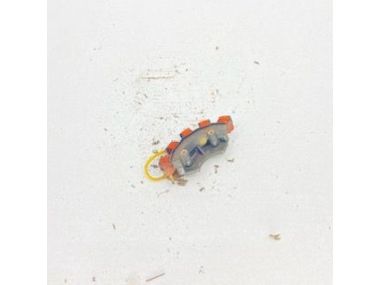 Mercury 20HP Lightning Stator Baugruppe (74367A9)
