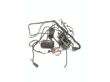 OMC complete Wiring 3.8L / 4.3L V6 Draadboom compleet