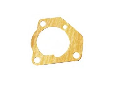 Suzuki Dichtung Wasserpumpe DT8C / DT9.9C-J-V (1988-97) (17472-92D10)