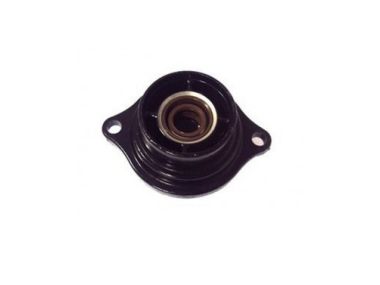 Yamaha / Parsun Getriebe Abdeckun F2.5 (2003+) 69M-G5361-00-4D