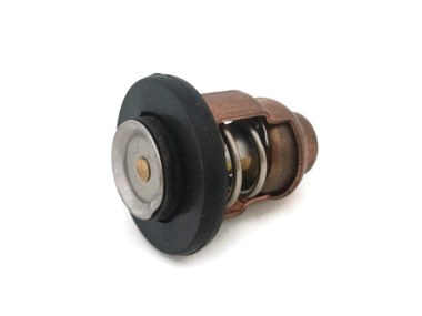 Johnson / Evinrude / Mercury Thermostat Kit 50C (0310058 / 434841)