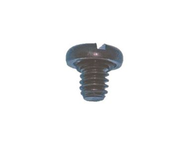 Johnson Evinrude Schraube 40-50 PS (309243)
