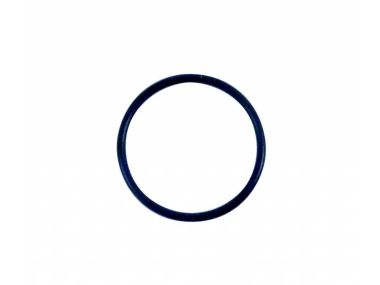 OMC O-Ring 400-800 (314491)