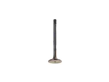 Volvo Penta Exhaust Valve Diesel Engines (829620)