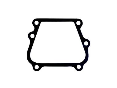 Johnson / Evinrude Powerhead Transfer Port Gasket (0307133)