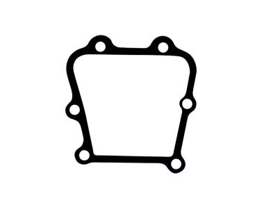 Johnson / Evinrude / Mercury Powerhead Transfer Port Gasket (0304784)
