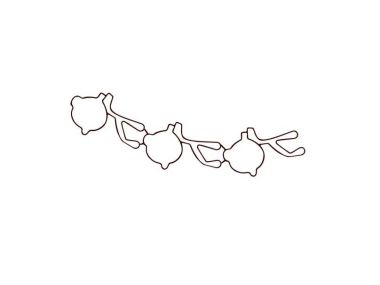 Johnson / Evinrude Port Intake to Carburetor Gasket (0335403)