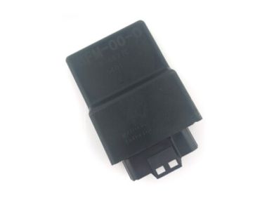Yamaha Control Unit Assembly (6FM-8591A-03-00)