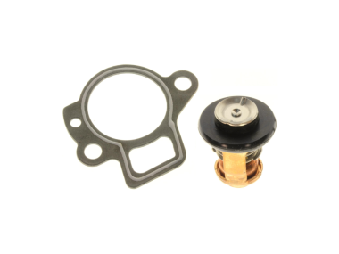 Mercury Thermostat Kit (825212A1)