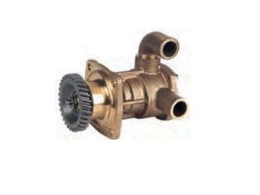 Yanmar Wasserpumpe (129670-42500, 129670-42501, 129670-42502, 129670-42512, 129670-42513)