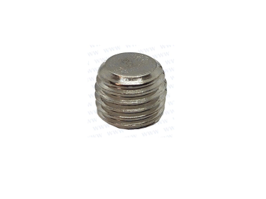 Parsun F40 "Block, Zylinder 1/16" (PAT85-06010002)