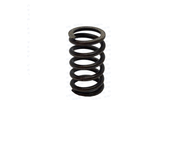 Parsun F40 SPRING (PAT40-10020002)