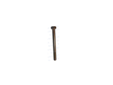 Parsun F50, F60 BOLZEN M8x80 (PAGB/T5782-M8x80)