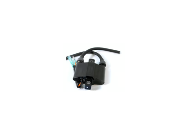 Yamaha Ignition Coil Assembly (680-85570-02-00)