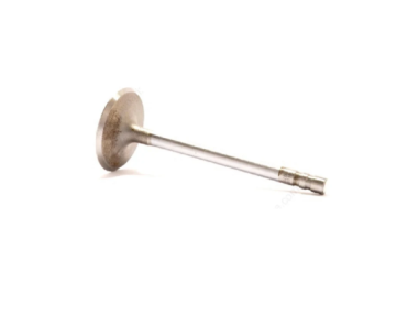 General Motors Einlassventil 5.7L (49-8,8-124) (2 slot) (841873)